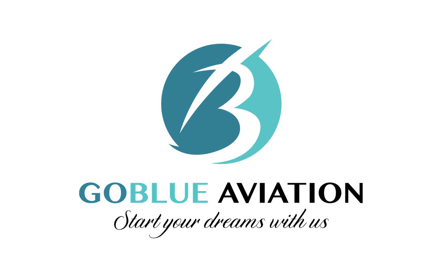 Go Blue Aviation Consulting
