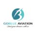 Go Blue Aviation Training